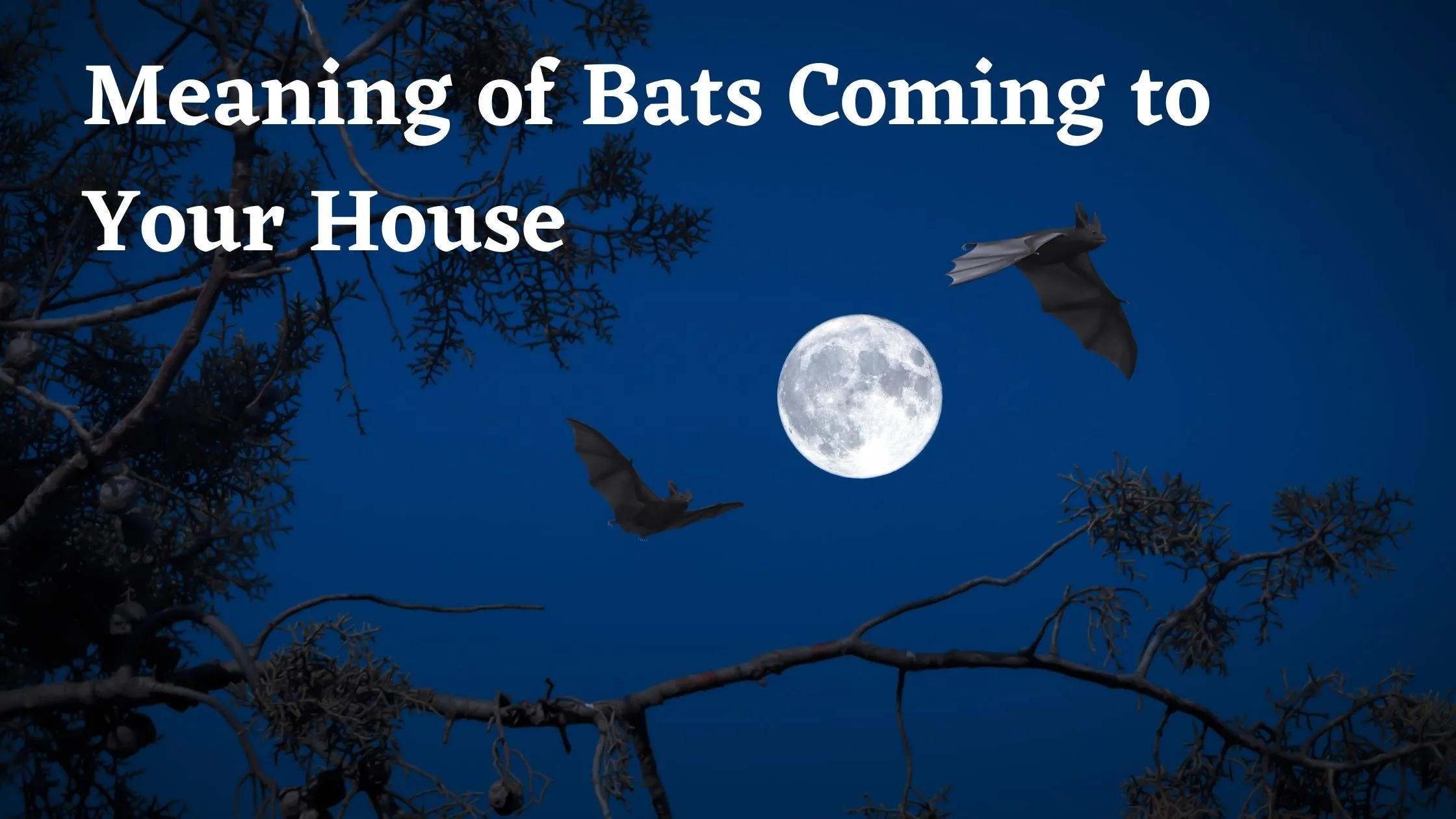 Meaning of Bats Coming to Your House