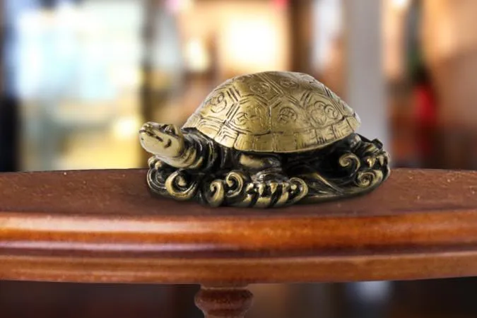 Feng Shui Tips for Keeping Tortoise